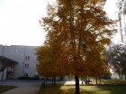 Herbstimpressionen 2011